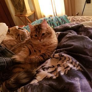 Meet your Posher, Tracy